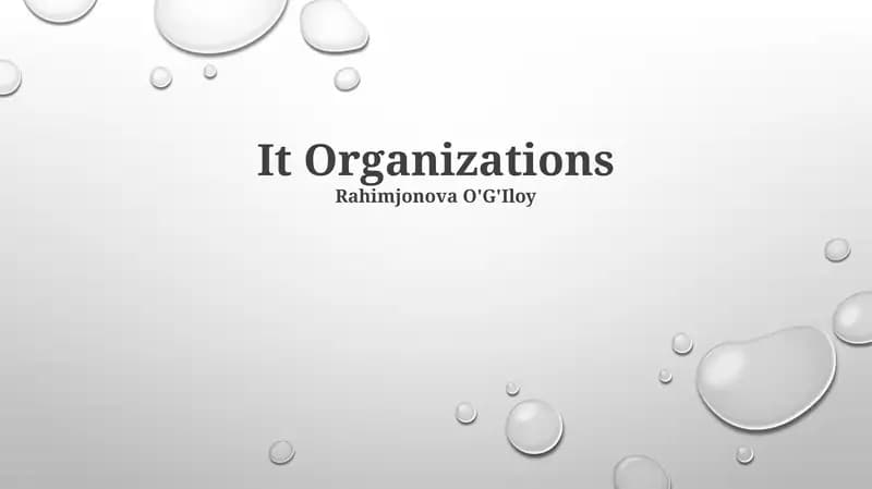 IT Organizations