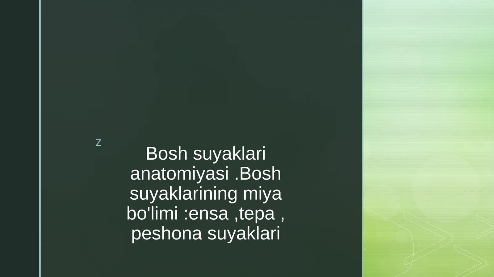 Bosh suyaklari anatomiyasi