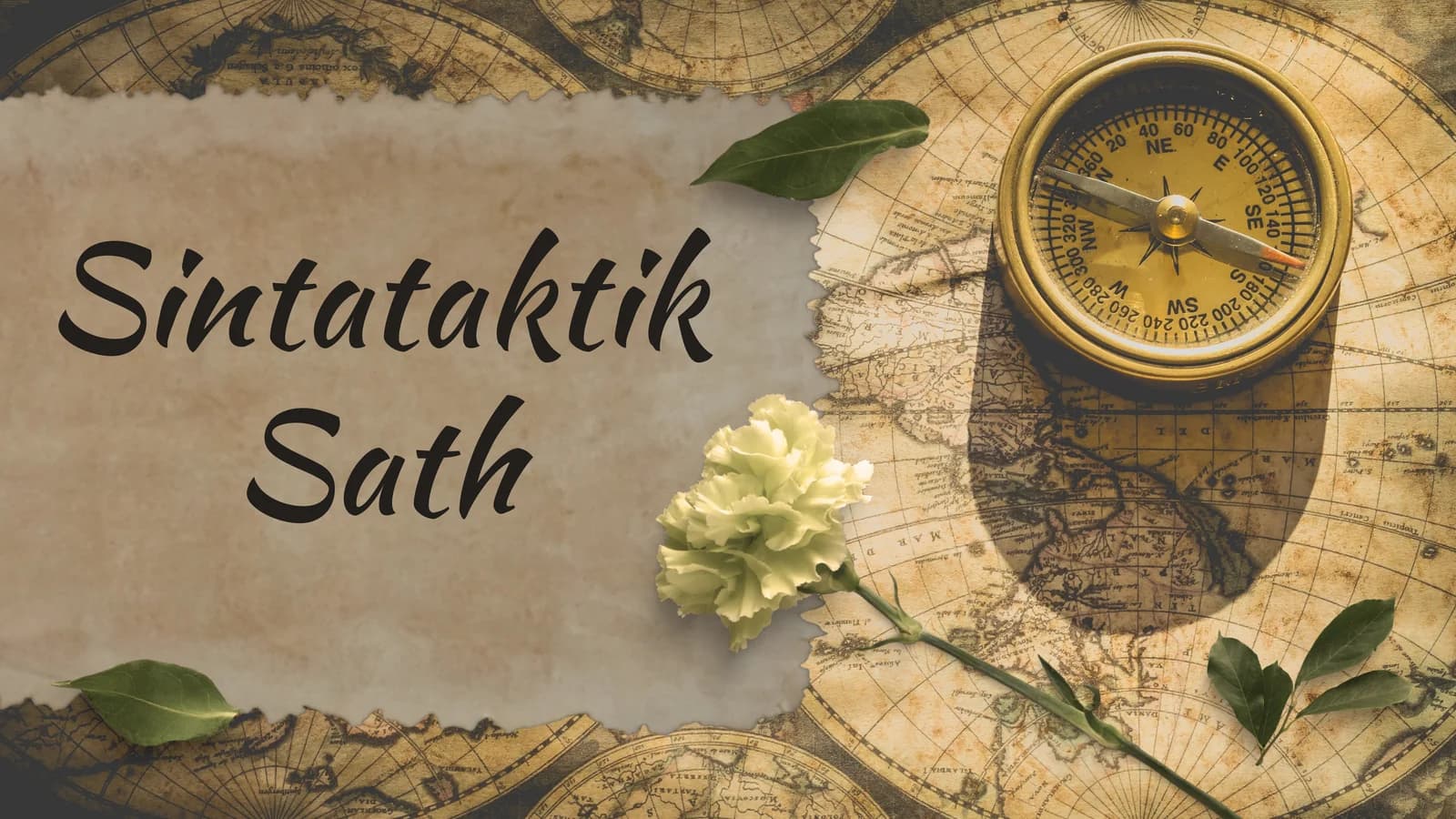 Sintataktik Sath