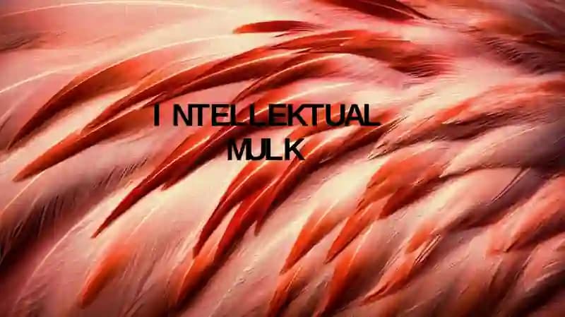 Intellektual mulk