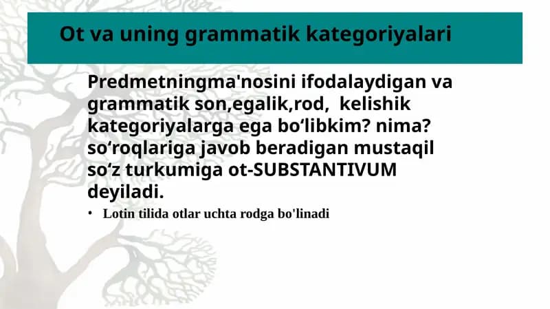 Lotin tilida otlar uchta rodga bo'linadi
