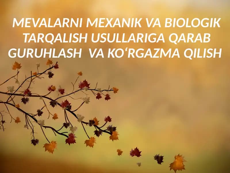 MEVALARNI MEXANIK VA BIOLOGIK TARQALISH USULLARIGA QARAB GURUHLASH VA KO‘RGAZMA QILISH