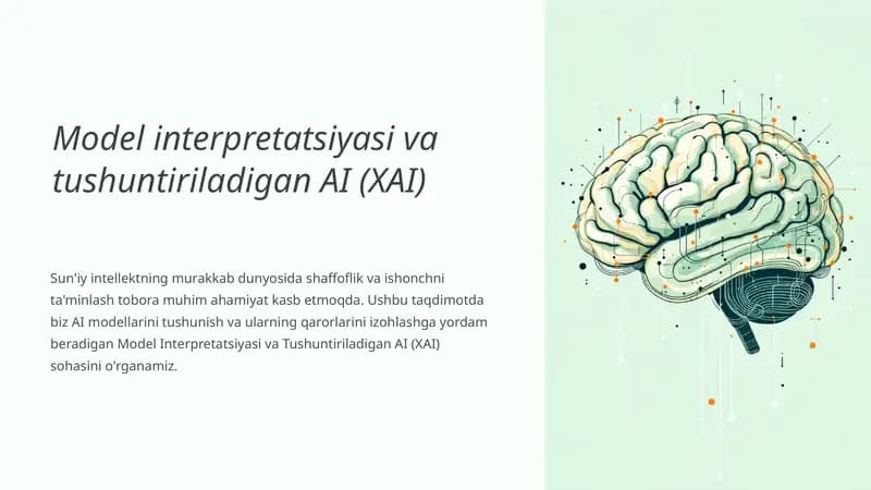 Model Interpretatsiyasi va Tushuntiriladigan AI (XAI)