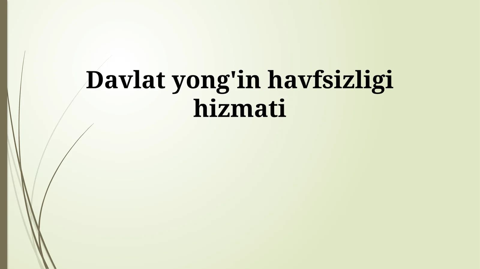 Davlat yong'in havfsizligi hizmati