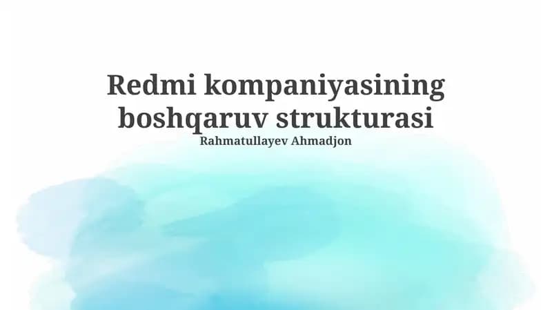 Redmi kompaniyasining boshqaruv strukturasi