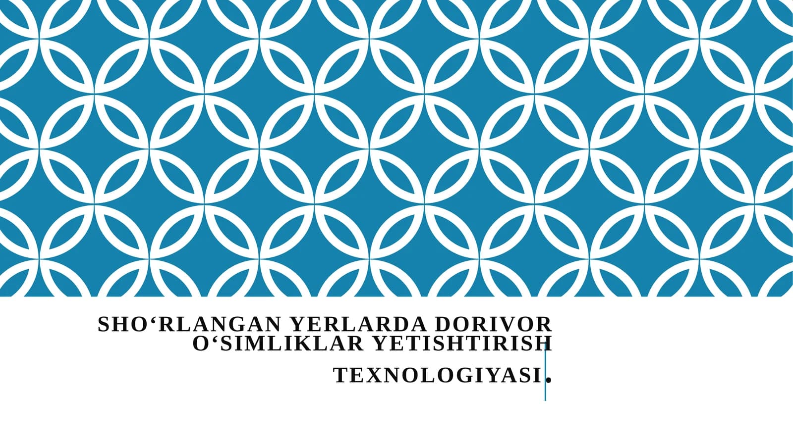 Sho'rlangan yerlarda dorivor o'simliklar yetishtirish texnalogiyasi