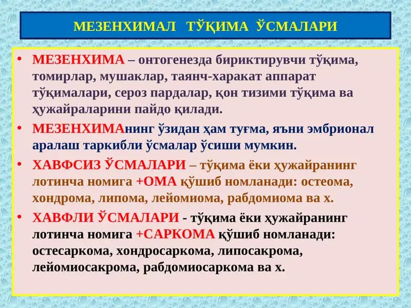 Мезенхима