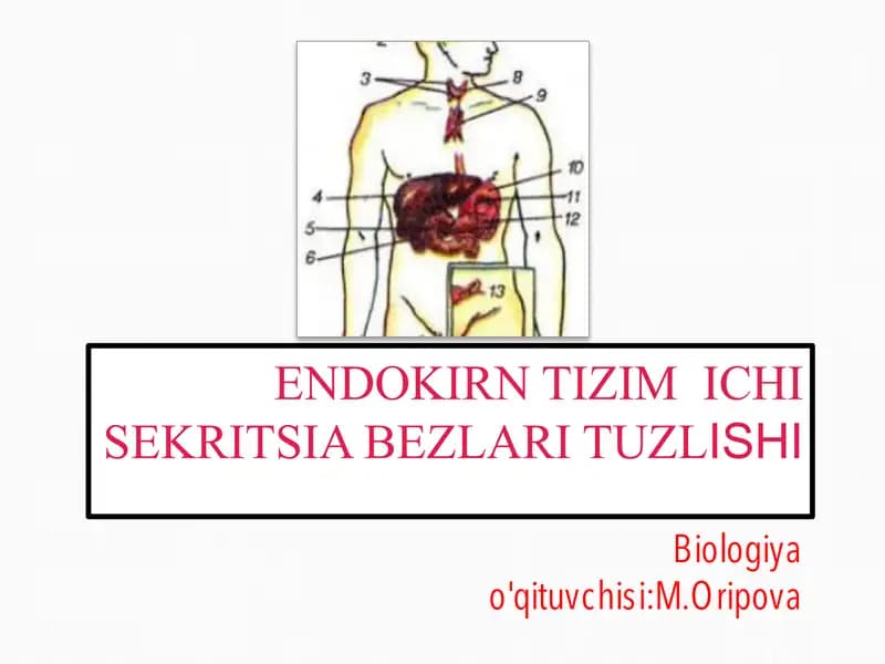 ENDOKIRN TIZIM ICHI SEKRITSIA BEZLARI TUZLISHI