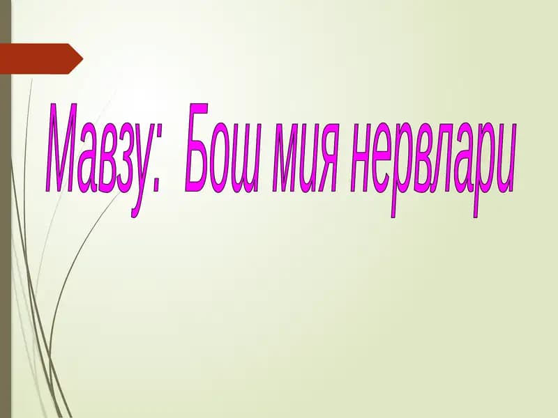 Бош мия нервлари