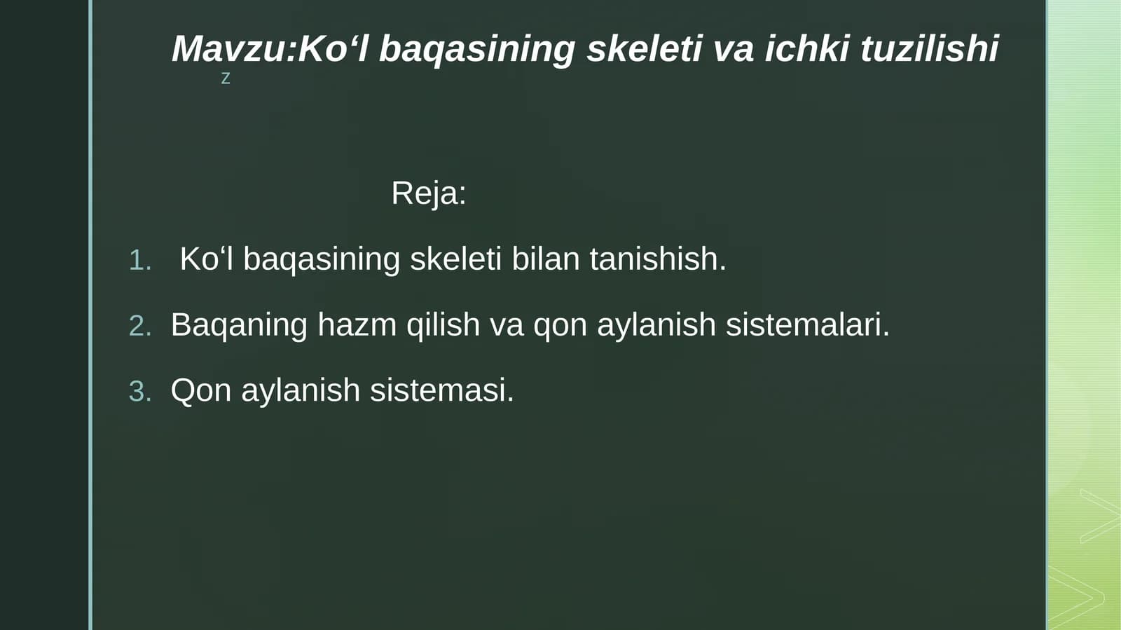 Koʻlbaqasining skeleti va ichki tuzilishi