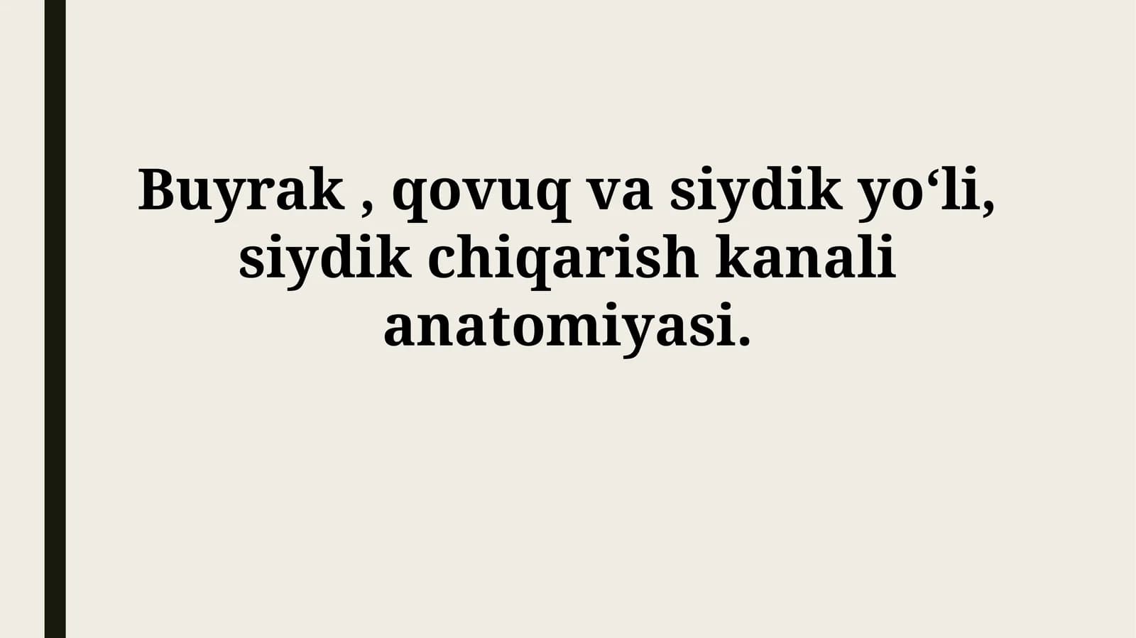 Buyrak, qovuq va siydik yoʻli, siydik chiqarish kanalianatomiyasi