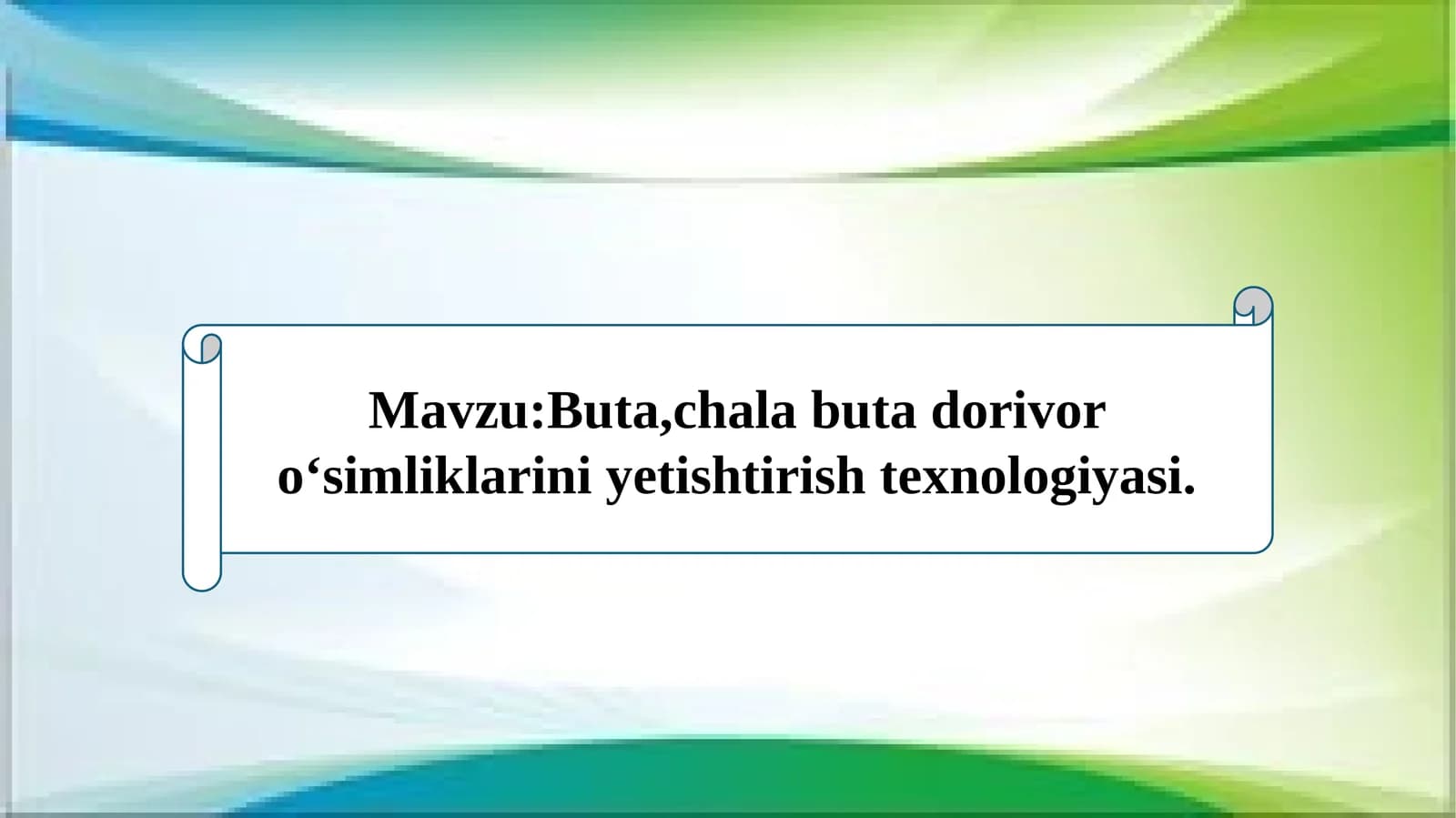 Buta,chala buta dorivor oʻsimliklarini yetishtirish texnologiyasi.