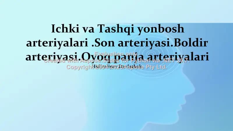 Ichki va Tashqi yonbosh arteriyalari