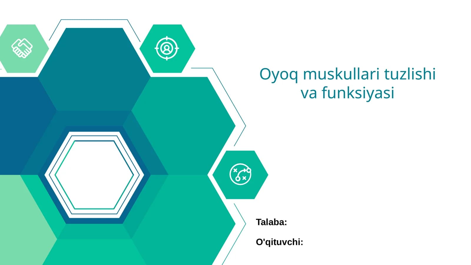 Oyoq Muskullari Tuzlishi va Funksiyasi
