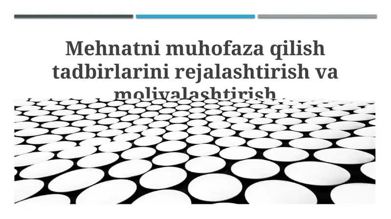 Mehnatni muhofaza qilish tadbirlarini rejalashtirish va moliyalashtirish