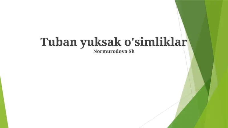 Tuban yuksak o'simliklar