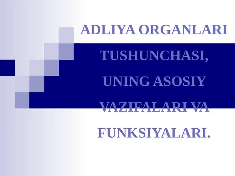 Adliya Organlari Tushunchasi