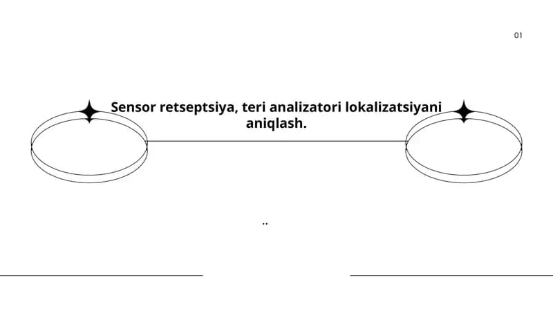 Sensor retseptsiya, teri analizatori lokalizatsiyani aniqlash