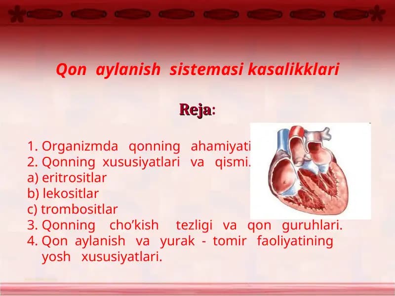 Qon aylanish sistemasi