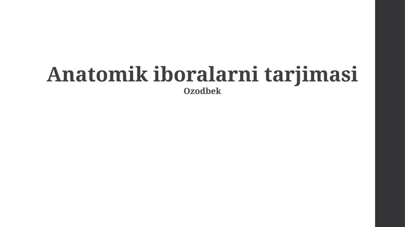 Anatomik iboralarni tarjimasi