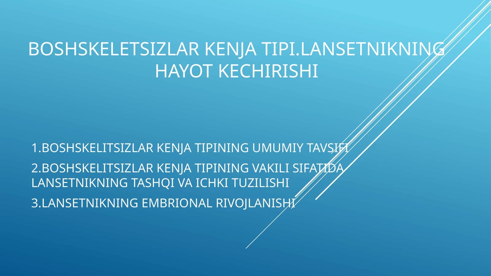 Boshskeletsizlarkenjatipi.lansetnikninghayotkechirishi