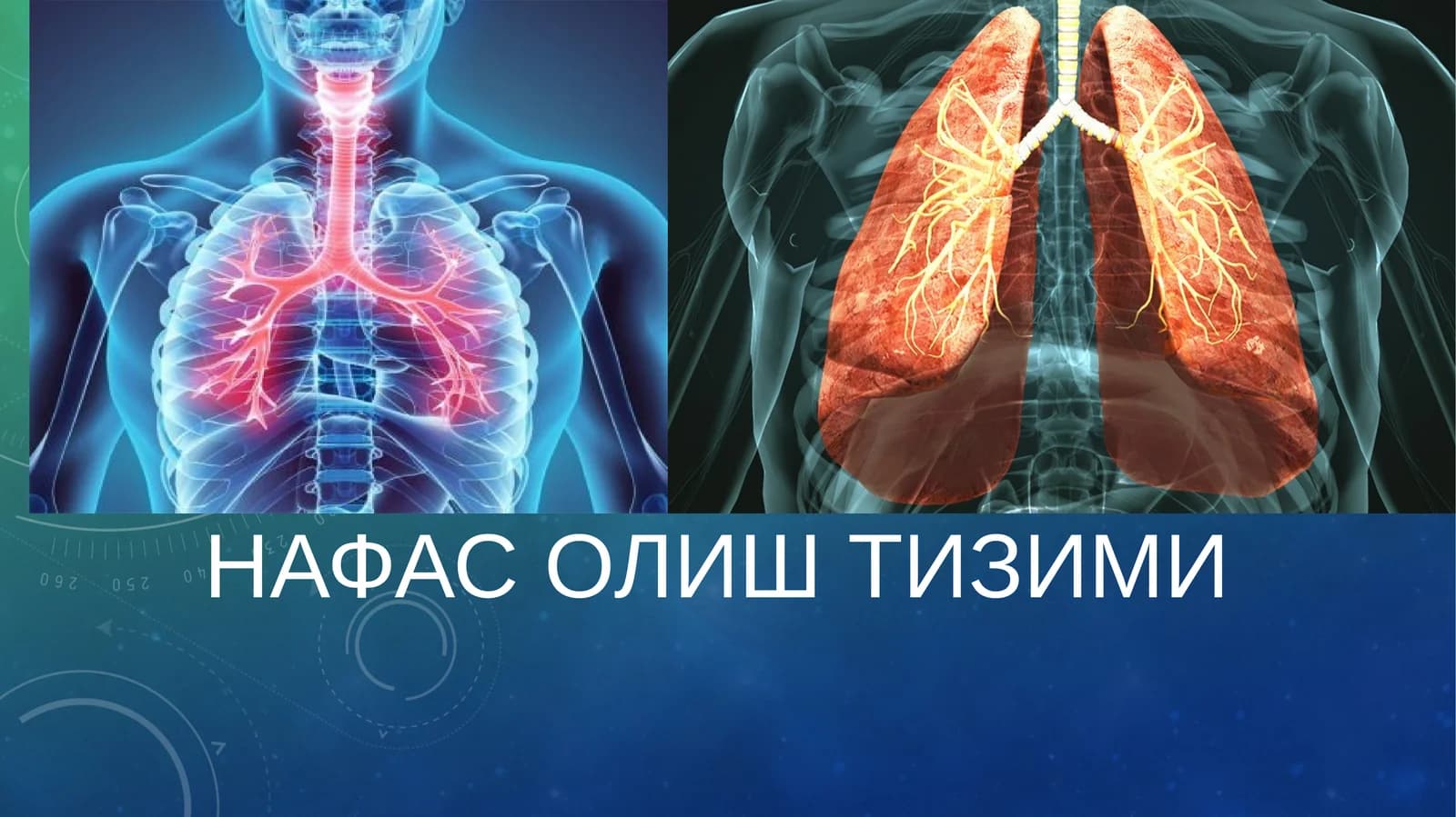 НАФАС ОЛИШ ТИЗИМИ