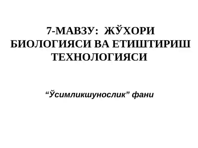 ЖЎхори биологияси ва етиштириш технологияси