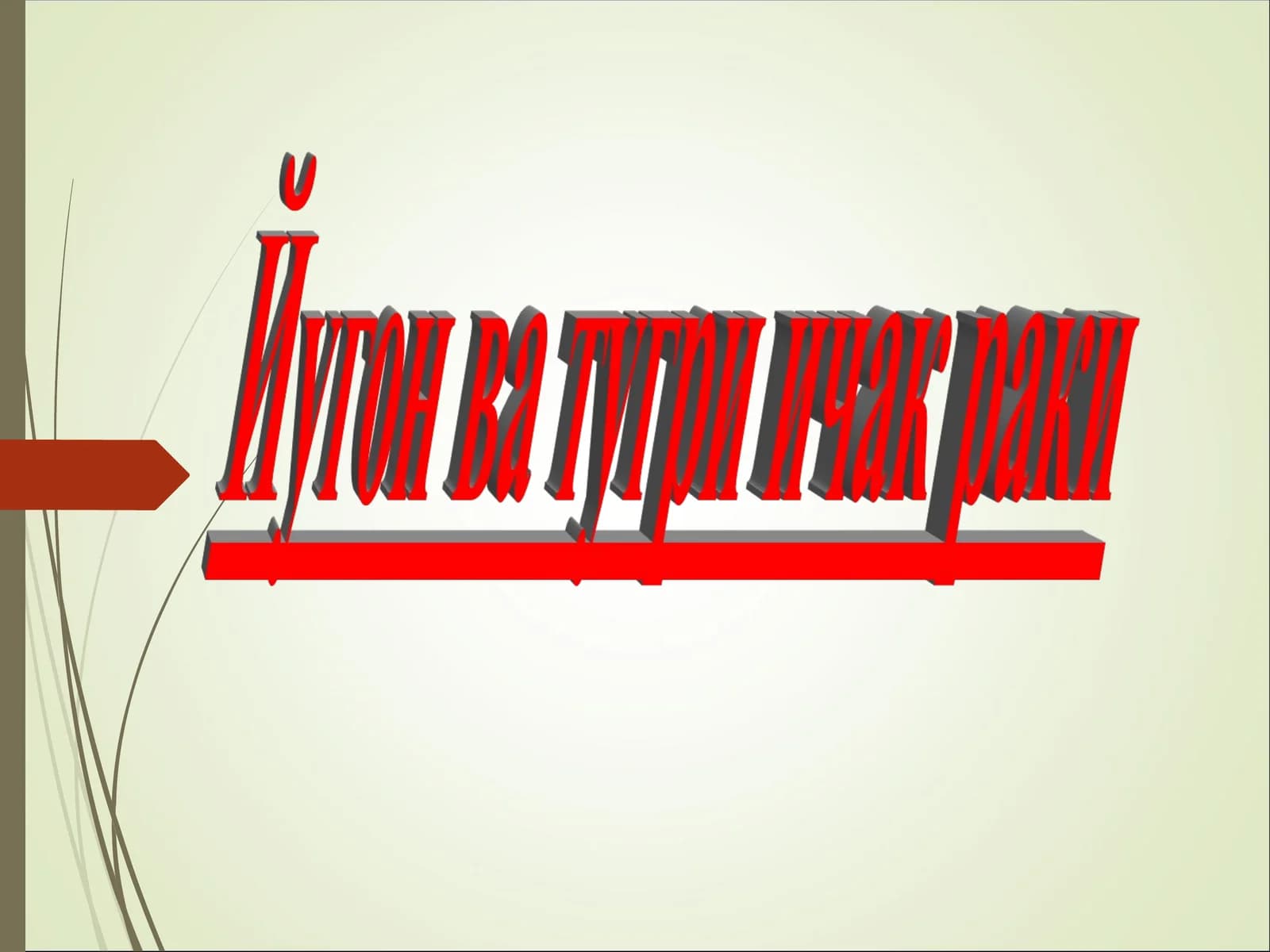 Тўғри ичак анатомияси