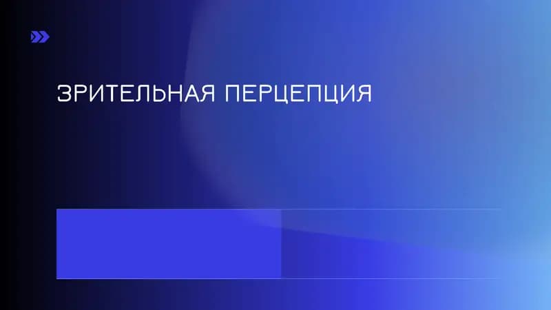 ЗРИТЕЛЬНАЯ ПЕРЦЕПЦИЯ