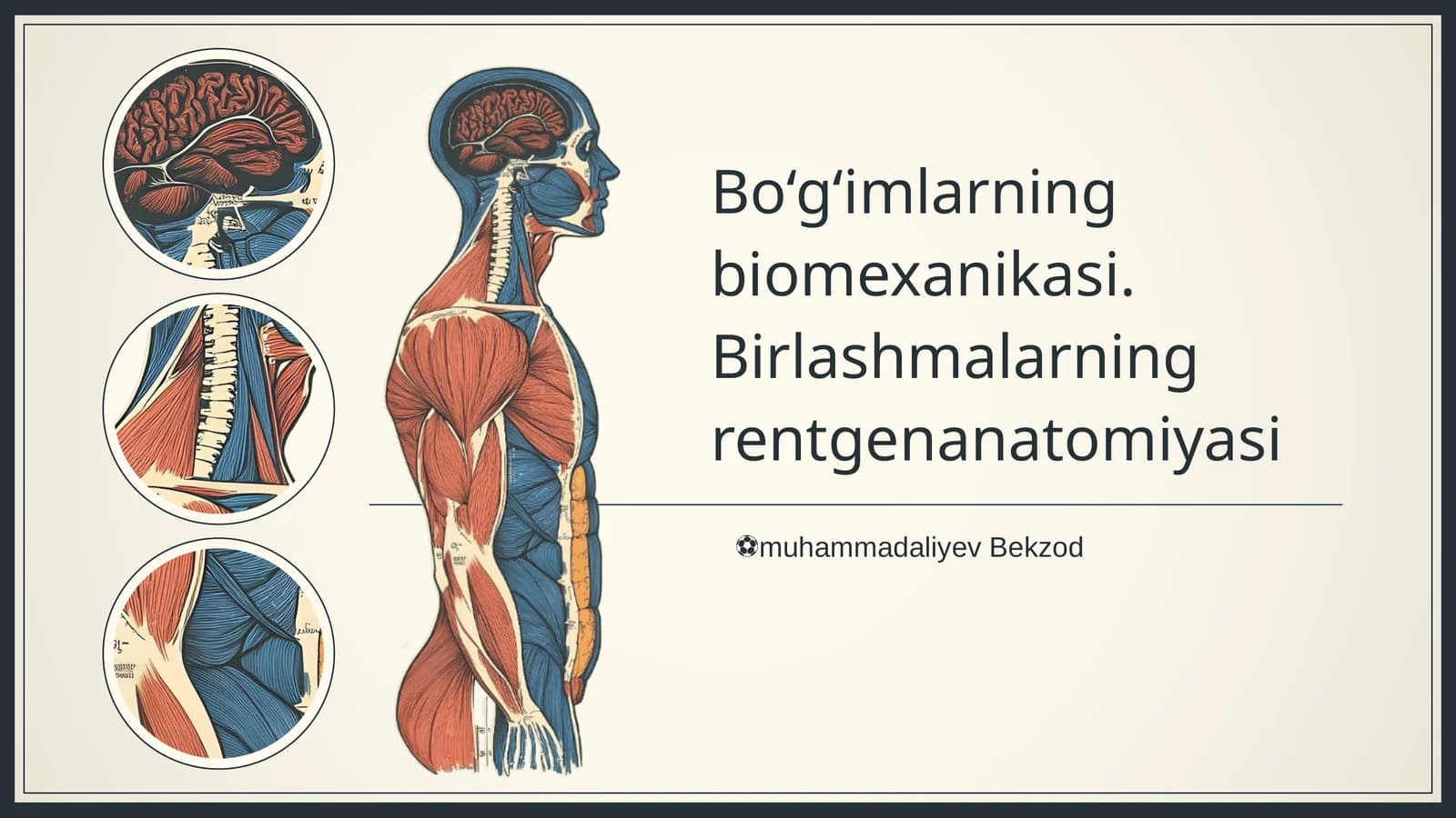 Bo‘g‘imlarning biomexanikasi. Birlashmalarning rentgenanatomiyasi
