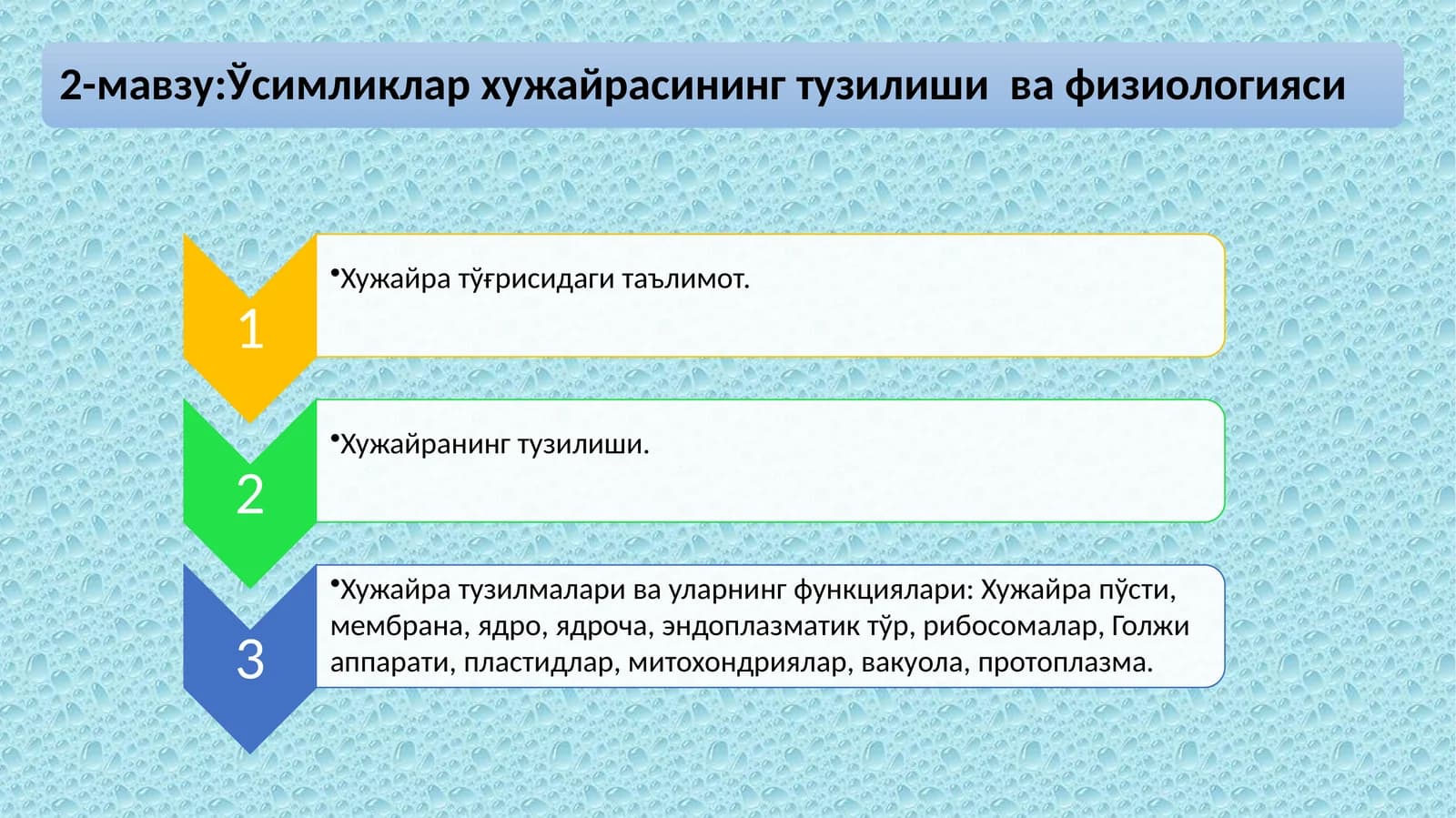 Ҳужайранинг тузилиши