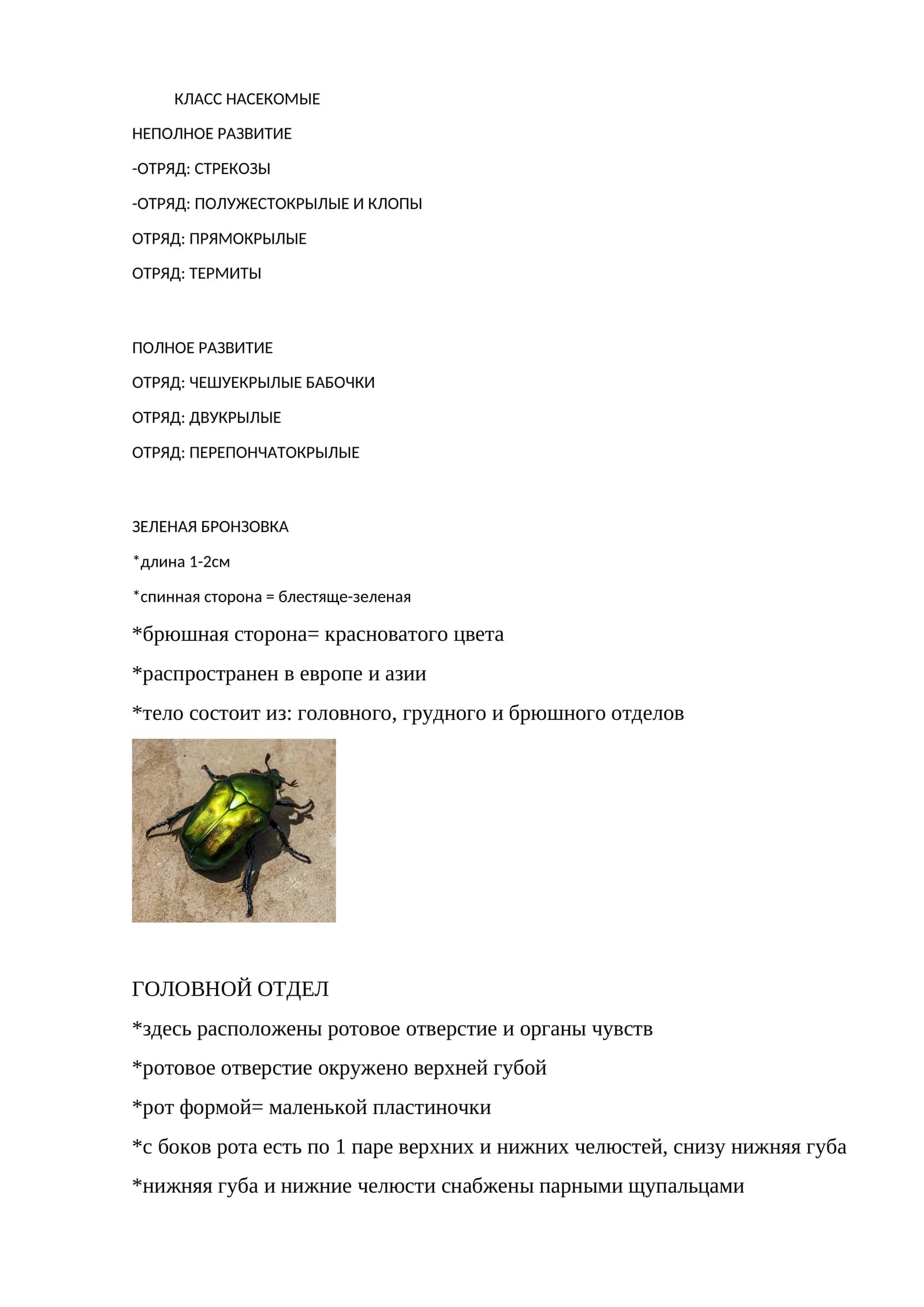 ЗЕЛЕНАЯ БРОНЗОВКА