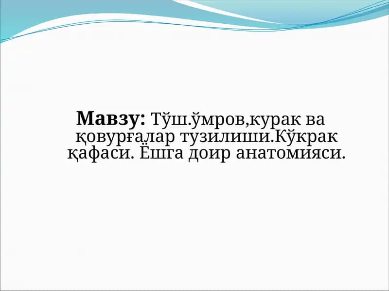 Тўщоу мағини