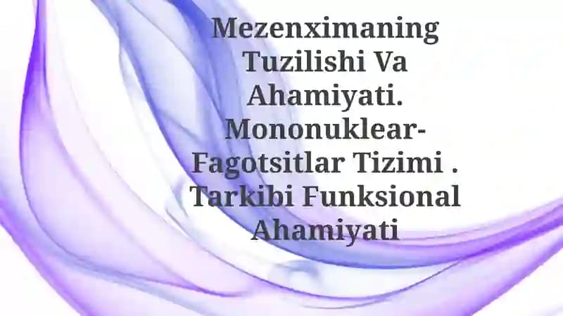 Mezenximaning Tuzilishi Va Ahamiyati