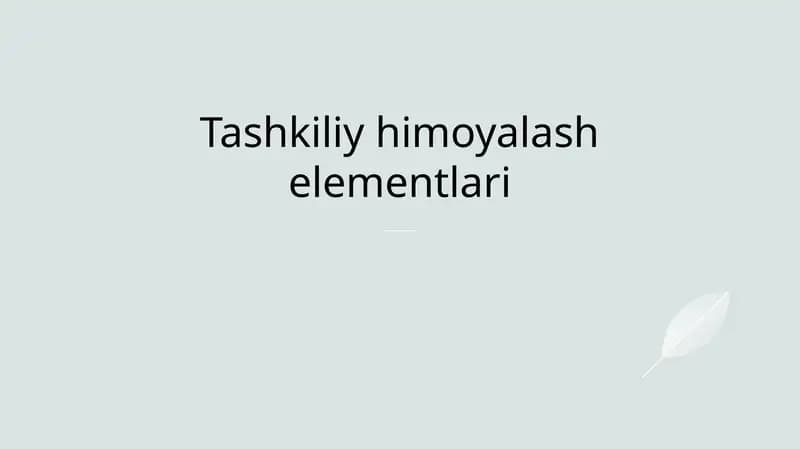 Tashkiliy himoyalash elementlari