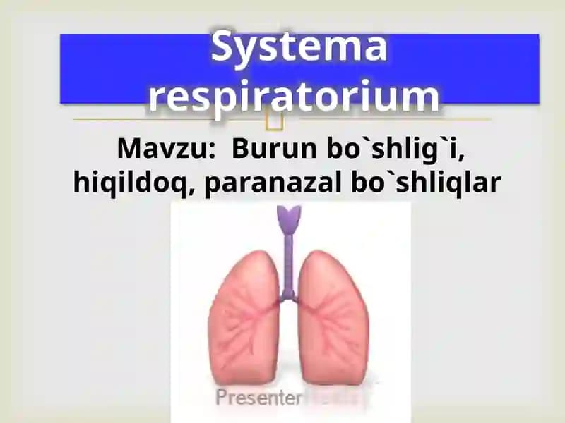 Systema respiratorium