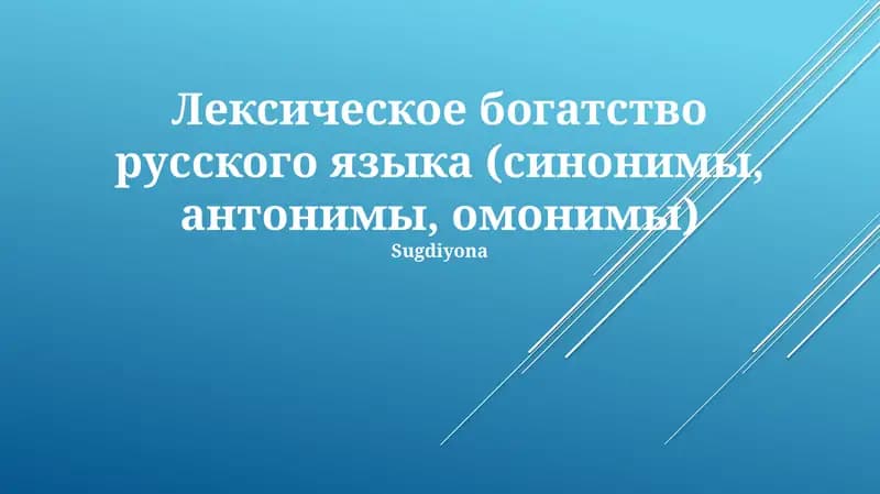 Лексическое богатство русского языка (синонимы, антонимы, омонимы)