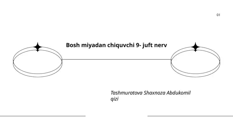 IX juft nervning umumiy anatomiyasi