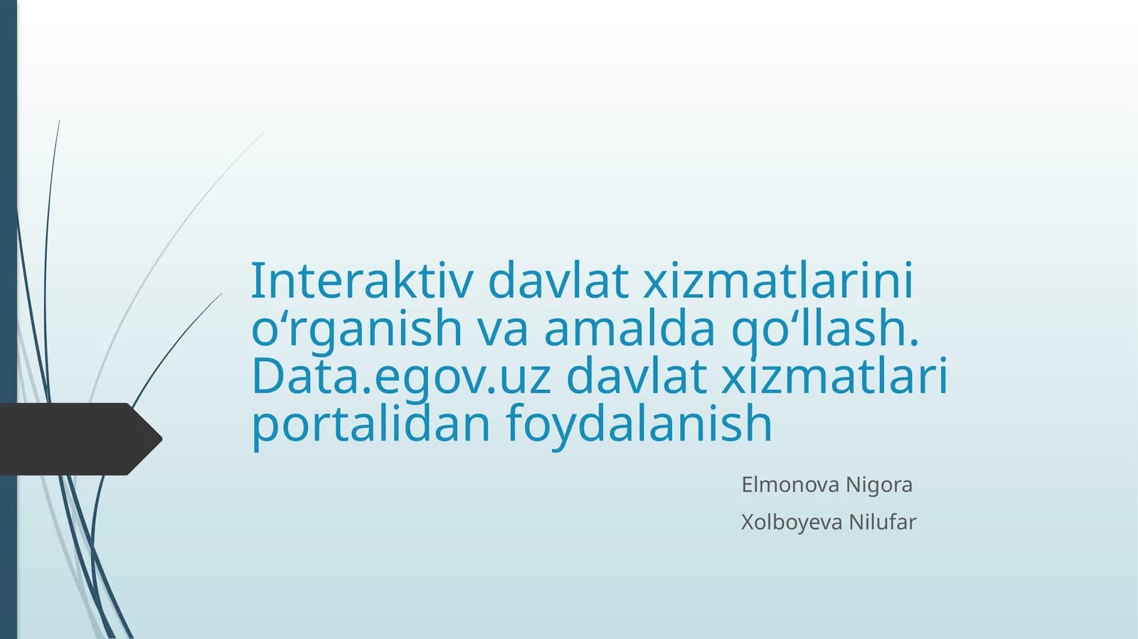 Interaktiv davlat xizmatlarini o‘rganish va amalda qo‘llash. Data.egov.uz davlat xizmatlari portalidan foydalanish