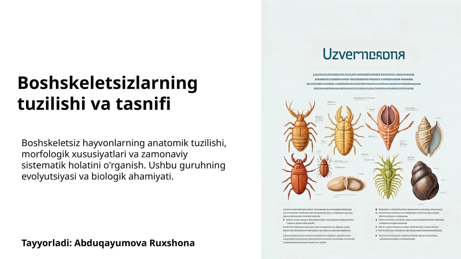 Boshskeletsizlarning tuzilishi va tasnifi