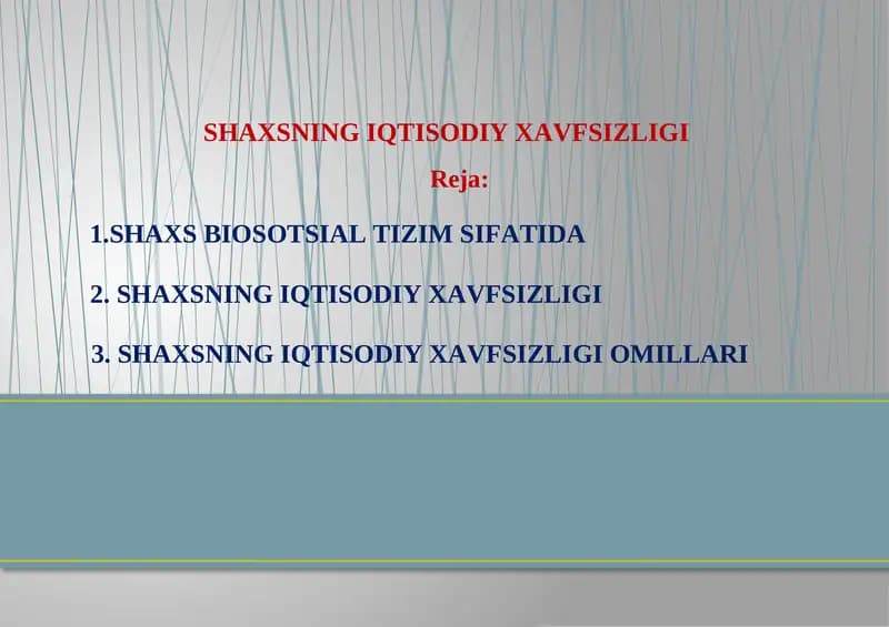 SHAXSNING IQTISODIYXAVFSIZLIGI