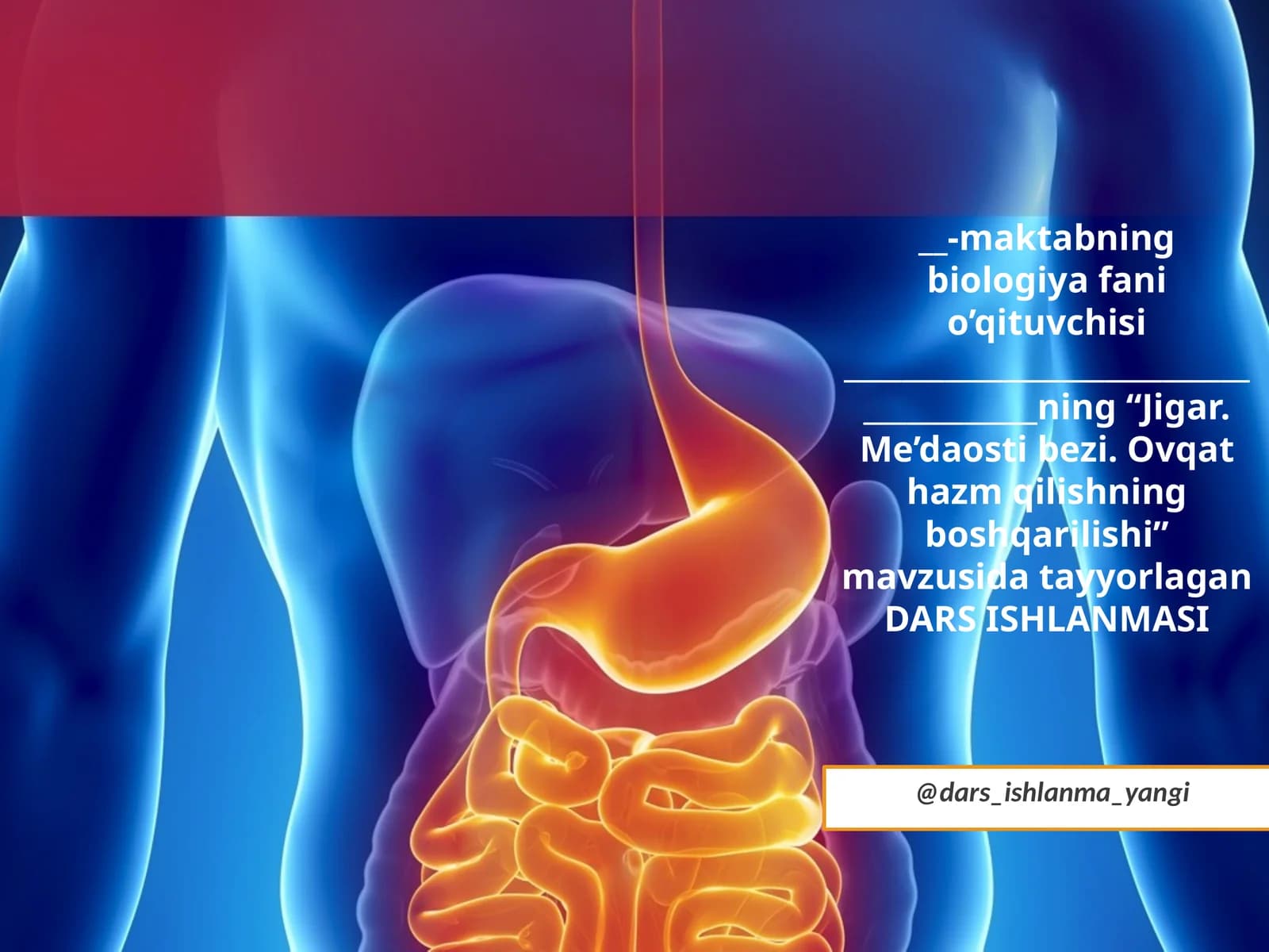 Jigar.Me’da ostibezi Ovqat hazm qilishning boshqarilishi