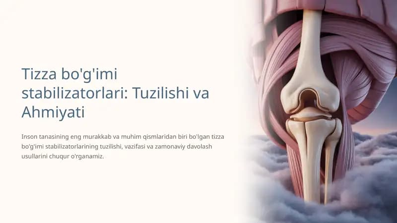 Tizza bo'g'imi stabilizatorlari: Tuzilishi va Ahmiyati
