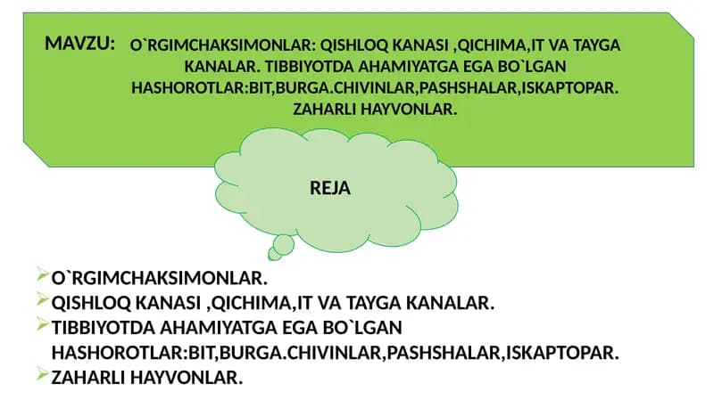 O`RGIMCHAKSIMONLAR: QISHLOQ KANASI ,QICHIMA,IT VA TAYGA KANALAR. TIBBIYOTDA AHAMIYATGA EGA BO`LGAN HASHOROTLAR:BIT,BURGA.CHIVINLAR,PASHSHALAR,ISKAPTOPAR.ZAHARLI HAYVONLAR.