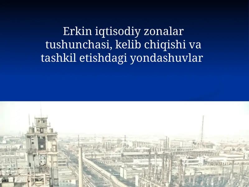 Erkin iqtisodiy zonalar tushunchasi