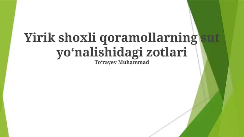 Yirik shoxli qoramollarning sut yoʻnalishidagi zotlari