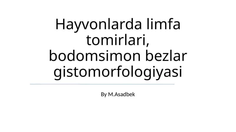 Hayvonlarda limfa tomirlari, bodomsimon bezlar gistomorfologiyasi