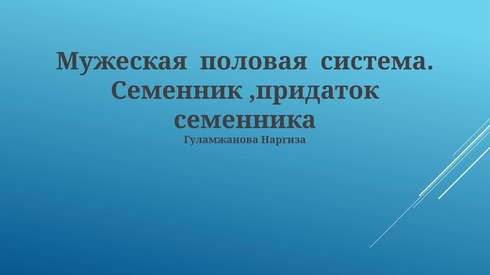 Мужеская половая система. Семенник,придаток семенника