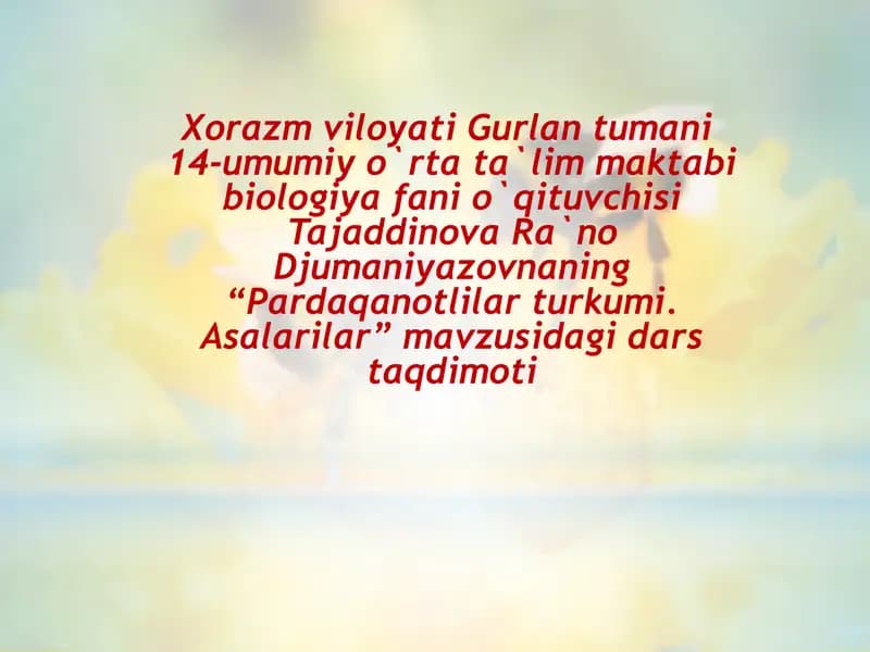 "Pardaqanotlilar turkumi. Asalarilar"