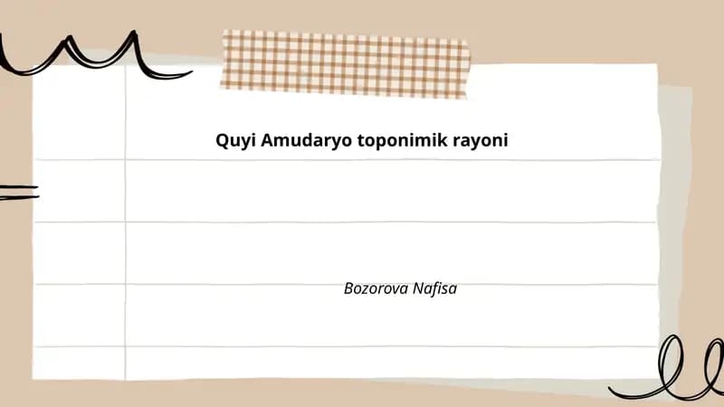 Quyi Amudaryo toponimik rayoni